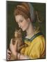 Portrait of a Young Lady Holding a Cat-Francesco Ubertini Verdi Bachiacca-Mounted Giclee Print