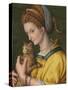 Portrait of a Young Lady Holding a Cat-Francesco Ubertini Verdi Bachiacca-Stretched Canvas