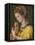 Portrait of a Young Lady Holding a Cat-Francesco Ubertini Verdi Bachiacca-Framed Stretched Canvas