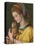 Portrait of a Young Lady Holding a Cat-Francesco Ubertini Verdi Bachiacca-Stretched Canvas