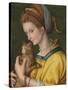 Portrait of a Young Lady Holding a Cat-Francesco Ubertini Verdi Bachiacca-Stretched Canvas