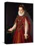 Portrait of a Young Lady-Sofonisba Anguissola-Stretched Canvas