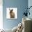Portrait of a Young Lionhead-Lop Rabbit-Mark Taylor-Stretched Canvas displayed on a wall