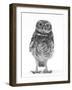 Portrait of a Young Little Owl (Athene Noctua)-Mark Taylor-Framed Premium Photographic Print