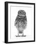 Portrait of a Young Little Owl (Athene Noctua)-Mark Taylor-Framed Premium Photographic Print