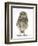 Portrait of a Young Little Owl (Athene Noctua)-Mark Taylor-Framed Premium Photographic Print