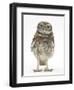 Portrait of a Young Little Owl (Athene Noctua)-Mark Taylor-Framed Premium Photographic Print