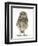 Portrait of a Young Little Owl (Athene Noctua)-Mark Taylor-Framed Photographic Print