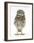 Portrait of a Young Little Owl (Athene Noctua)-Mark Taylor-Framed Photographic Print