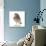 Portrait of a Young Little Owl (Athene Noctua)-Mark Taylor-Photographic Print displayed on a wall