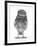 Portrait of a Young Little Owl (Athene Noctua)-Mark Taylor-Framed Photographic Print