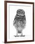 Portrait of a Young Little Owl (Athene Noctua)-Mark Taylor-Framed Photographic Print