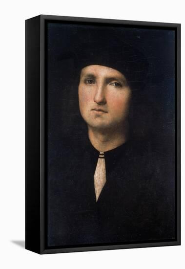 Portrait of a Young Man 1495-1500-Pietro Perugino-Framed Stretched Canvas