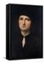 Portrait of a Young Man 1495-1500-Pietro Perugino-Framed Stretched Canvas