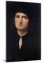 Portrait of a Young Man 1495-1500-Pietro Perugino-Mounted Giclee Print