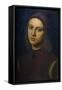 Portrait of a Young Man, 1495-Pietro Perugino-Framed Stretched Canvas