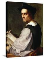 Portrait of a Young Man, 1517-Andrea del Sarto-Stretched Canvas