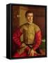 Portrait of a Young Man, 1544-Georg Pencz-Framed Stretched Canvas