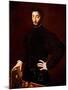 Portrait of a Young Man, 15Th Century (Oil on Canvas)-Girolamo Mazzola Bedoli-Mounted Giclee Print