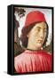 Portrait of a Young Man, 15th Century-Domenico Ghirlandaio-Framed Stretched Canvas
