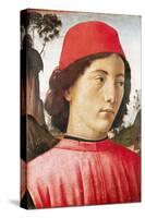 Portrait of a Young Man, 15th Century-Domenico Ghirlandaio-Stretched Canvas