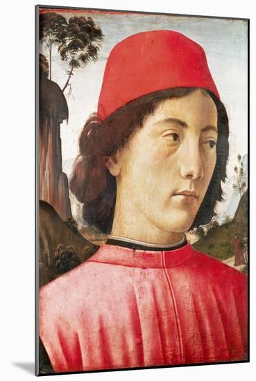 Portrait of a Young Man, 15th Century-Domenico Ghirlandaio-Mounted Giclee Print