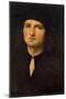 Portrait of a Young Man, Between 1495 and 1500-Perugino-Mounted Giclee Print