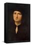 Portrait of a Young Man, Between 1495 and 1500-Perugino-Framed Stretched Canvas