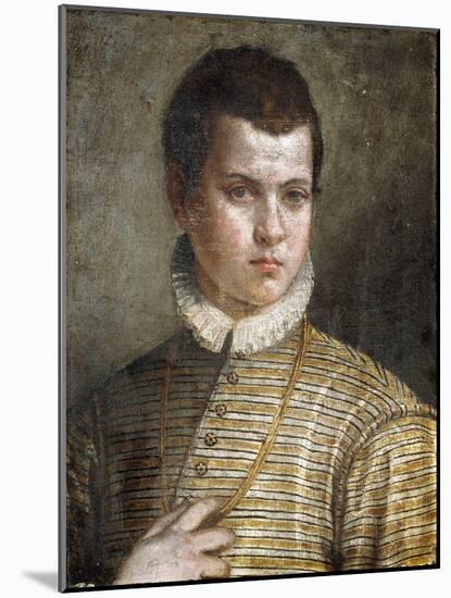 Portrait of a Young Man, Bust-Length, Wearing a Striped Costume and a White Ruff-Paolo Caliari-Mounted Giclee Print