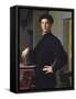 PORTRAIT OF A YOUNG Man, by Bronzino, 1530S, Italian Renaissance Painting, Oil on Wood. the Sitter-Everett - Art-Framed Stretched Canvas