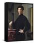 PORTRAIT OF A YOUNG Man, by Bronzino, 1530S, Italian Renaissance Painting, Oil on Wood. the Sitter-Everett - Art-Framed Stretched Canvas