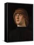 Portrait of a Young Man, c.1480-Jacometto Veneziano-Framed Stretched Canvas