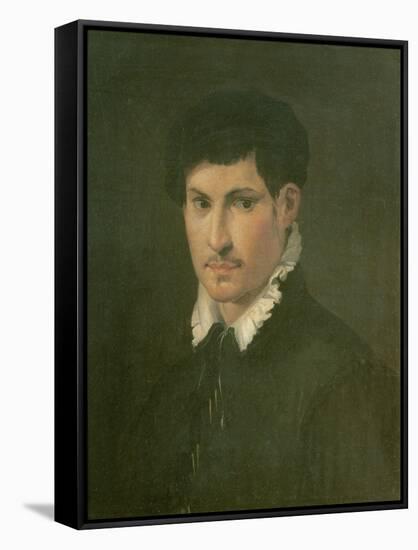 Portrait of a Young Man, C.1540-Niccolo dell' Abate-Framed Stretched Canvas