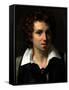 Portrait of a Young Man, C.1818-Theodore Gericault-Framed Stretched Canvas