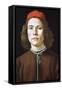 Portrait of a Young Man, C1480-1485-Sandro Botticelli-Framed Stretched Canvas