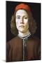 Portrait of a Young Man, C1480-1485-Sandro Botticelli-Mounted Giclee Print