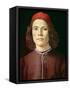 Portrait of a Young Man, circa 1480-85-Sandro Botticelli-Framed Stretched Canvas