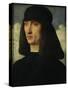 Portrait of a Young Man, circa 1500-Giovanni Bellini-Stretched Canvas