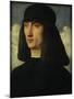 Portrait of a Young Man, circa 1500-Giovanni Bellini-Mounted Giclee Print