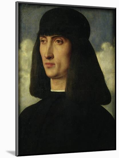 Portrait of a Young Man, circa 1500-Giovanni Bellini-Mounted Giclee Print