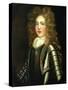 Portrait of a Young Man In Armour-null-Stretched Canvas