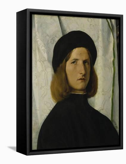 Portrait of a Young Man in Front of a White Curtain, about 1508-Lorenzo Lotto-Framed Stretched Canvas