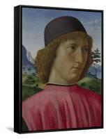 Portrait of a Young Man in Red, Ca 1485-Domenico Ghirlandaio-Framed Stretched Canvas