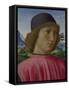 Portrait of a Young Man in Red, Ca 1485-Domenico Ghirlandaio-Framed Stretched Canvas