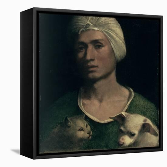 Portrait of a Young Man with a Dog and a Cat-Dosso Dossi-Framed Stretched Canvas