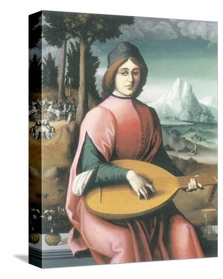 Portrait Of A Young Man With A Lute (Allegory Of Youth And Love)-Francesco Ubertini Bacchiacca-Stretched Canvas