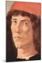 Portrait of a Young Man with Red Cap-Sandro Botticelli-Mounted Art Print