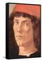 Portrait of a Young Man with Red Cap-Sandro Botticelli-Framed Stretched Canvas