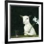 Portrait of a Young Man-DD McInnes-Framed Premium Giclee Print