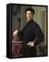 Portrait of a Young Man-Agnolo Bronzino-Framed Stretched Canvas